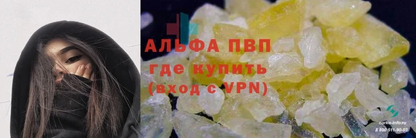сатива Аркадак