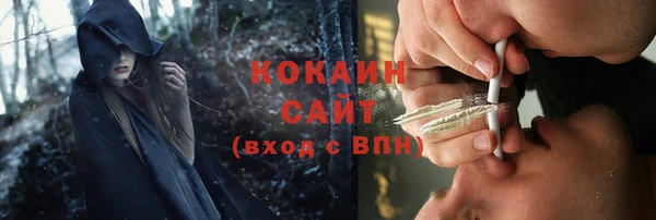 сатива Аркадак