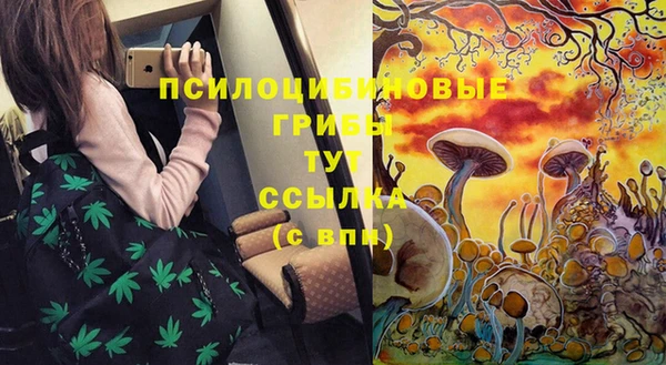 мяу мяу мука Балабаново