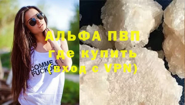 сатива Аркадак