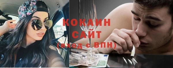 сатива Аркадак