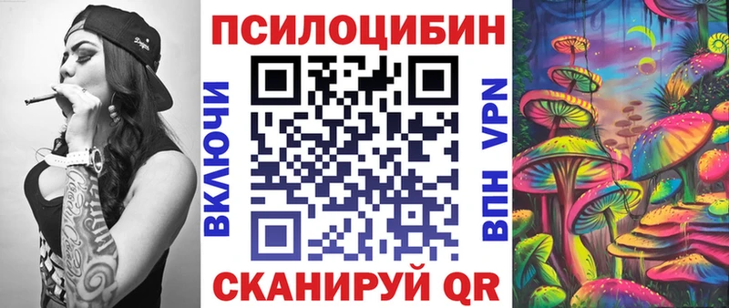 KRAKEN ТОР Балашов Галлюциногенные грибы Psilocybe